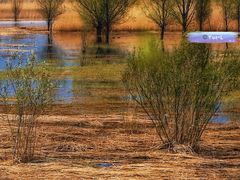 -野鸭湖国家湿地公园