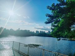 -荔枝公园(福田区)
