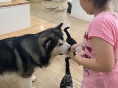 -李小姐の猫咖啡馆(五角场店)