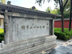 -洛阳白马寺