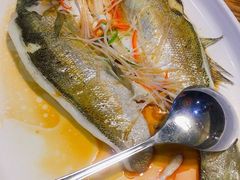 清蒸鲈鱼-双合园·海鲜水饺青岛菜(万佳广场店)