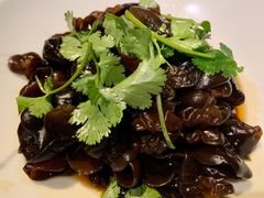 爽口木耳-绿茶餐厅(华联万柳店)