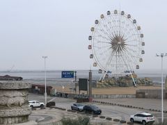 -奉贤海滩