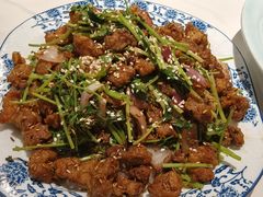 -新侨小馆(东直门北小街店)