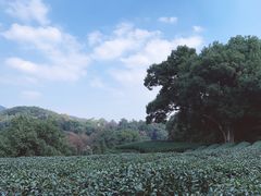 -西湖风景区十里琅珰-五云山
