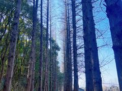 -同里国家湿地公园