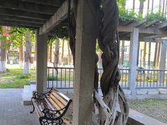-同济大学(沪西校区)