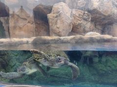 -珠海长隆海洋王国