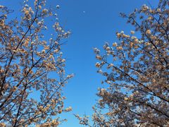 -新天地活力PARK