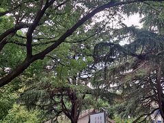-苏州大学(天赐庄校区)
