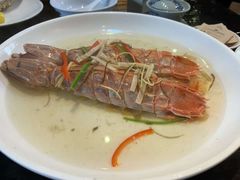 -猪肉婆私房菜(容桂总店)
