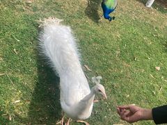 -昆明动物园