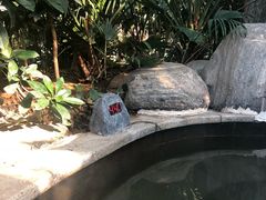 -郑州银基黄帝宫御温泉