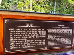 -碧水湾温泉