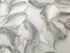 -盒马鲜生(领丰汇店)