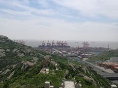 -洋山深水港