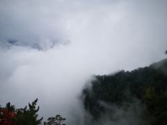 -陕西省红河谷森林公园