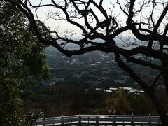 -上海佘山国家森林公园西佘山园