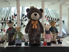 -济州岛泰迪熊博物馆