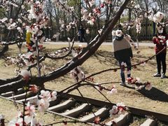 -永定河休闲森林公园