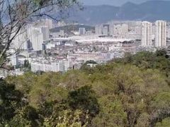 -金鸡山公园