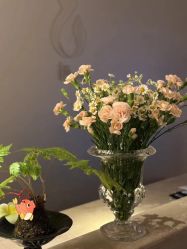 -栖SPA·ONDA ·海菲秀·皑皑科技美肤中心