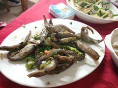 -蛇口康乐快餐鱼仔档(翠苑小区店)