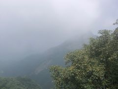 -少华山国家森林公园