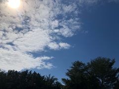 -范饭椰林川湘味海鲜·椰子鸡(三亚湾椰梦长廊店)