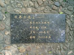介绍-胡里山炮台