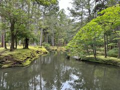 -西芳寺(苔寺)
