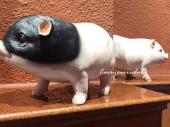 -猪角·闽南猪脚饭(茶亭店)