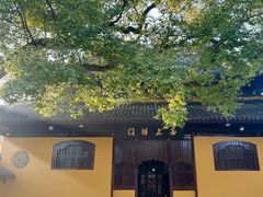 -西园戒幢律寺