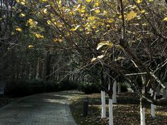 -白塘生态植物园