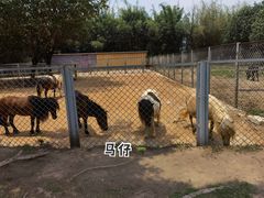 -东莞香市动物园