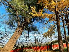 -阳台山自然风景区