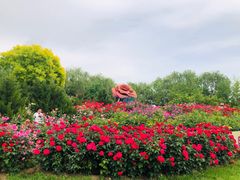 -大兴世界月季主题园