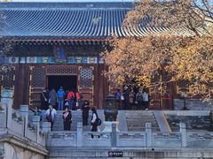 -香山公园