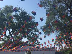 -松山湖梦幻百花洲