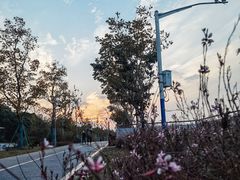 -智慧湾科创园