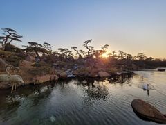 -罗红摄影艺术馆