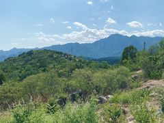 -白水寺森林公园