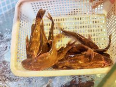 -亮欢寨(凯里总店)