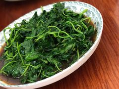 金花菜-胡子饮食店