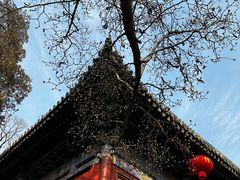 -潭柘寺景区