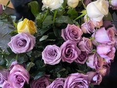 -越秀西湖花市(广州城市广场花卉店)