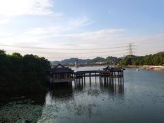 -水濂山森林公园