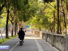 -深圳大学总医院