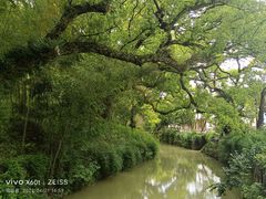-古堰画乡景区