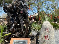 -大槐树寻根祭祖园